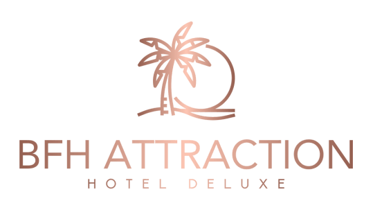 BFH Attraction 1